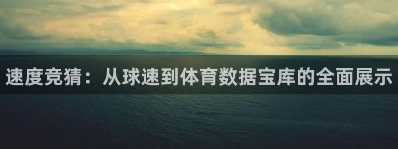 速度竞猜：从球速到体育数据宝库的全面展示